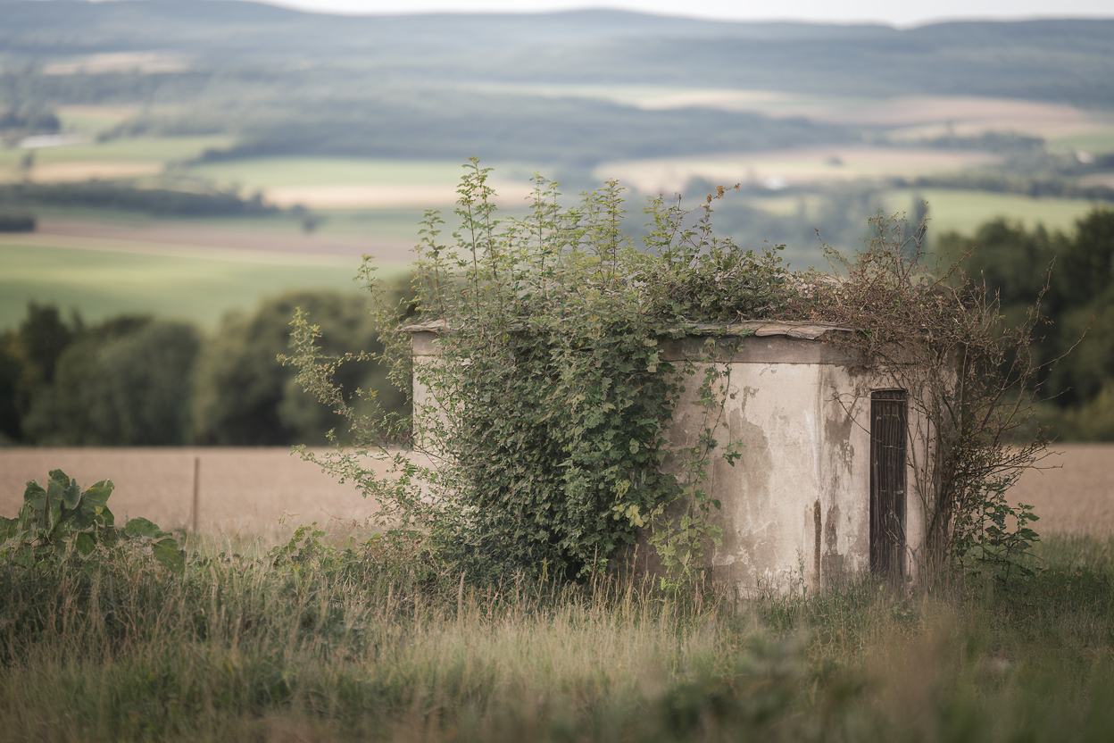 maison-abimee-vegetation-collines-campagne